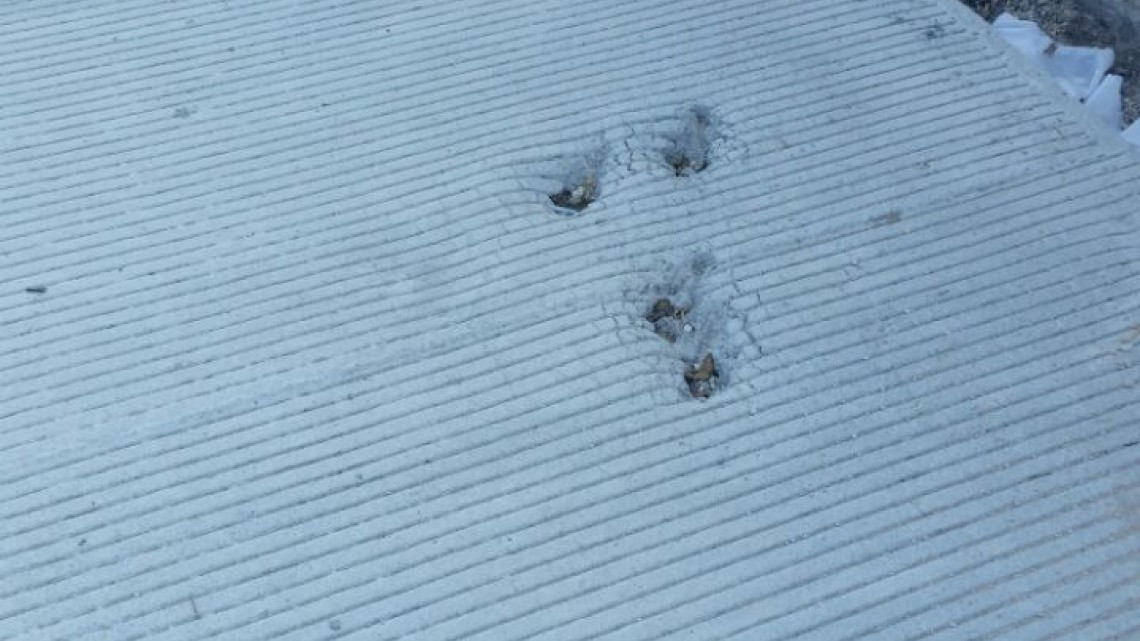 Invita alcaldesa a cuidar infraestructura de la ciudad