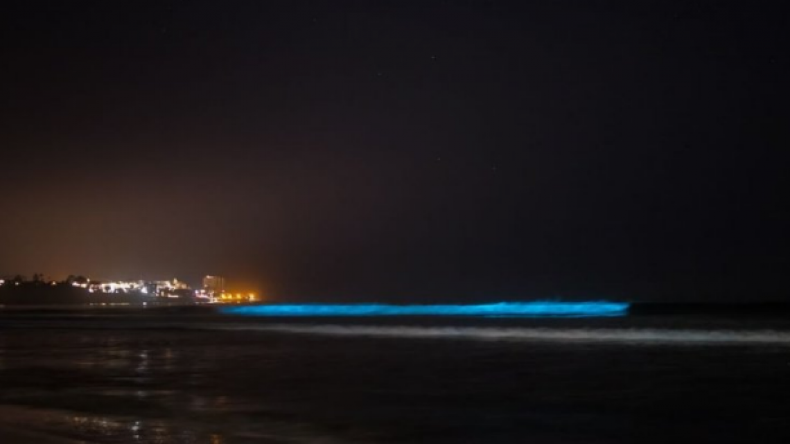 Las playas de San Diego se visten de azul-neón