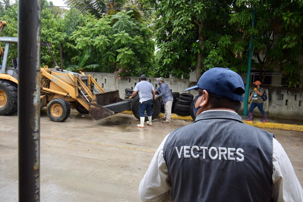 Unen esfuerzos Gobierno de Altamira y Secretaría de Salud para evitar enfermedades vectoriales