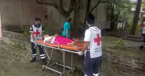 Atacan abejas a mujer de 89 años