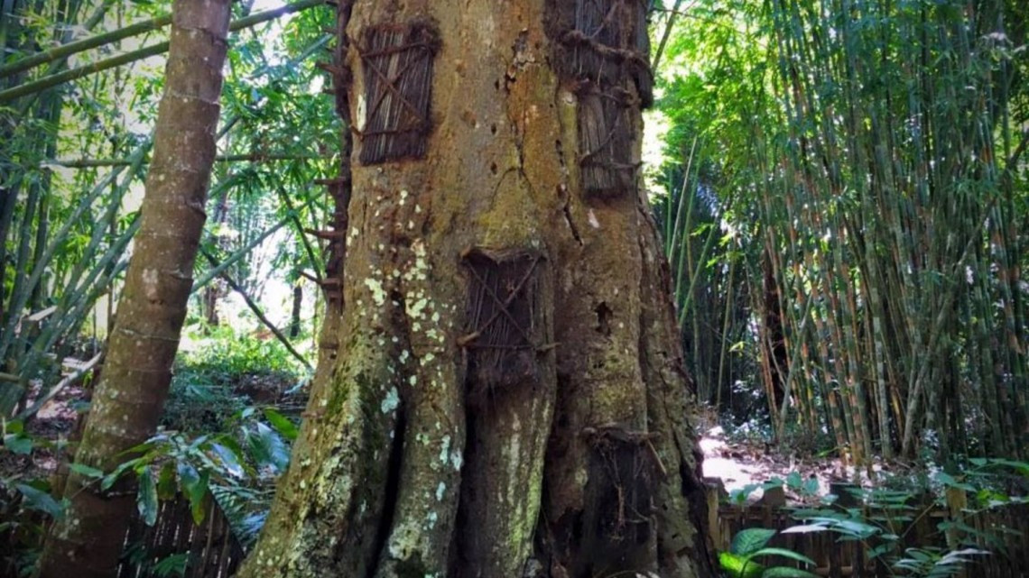 Una forma muy cerca de convivir con el mundo de los muertos